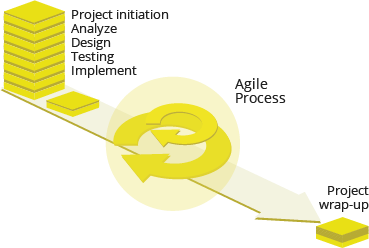 Scrum-based Agile development methodology